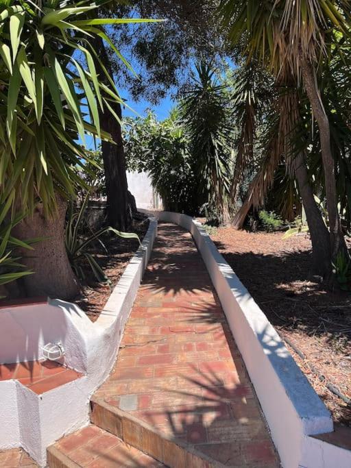 Beautiful Private Villa With Pool, Boliqueime, Loule Eksteriør bilde